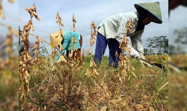 Ntp Dan Ntup Naik Untirta Kesejahteraan Petani Membaik