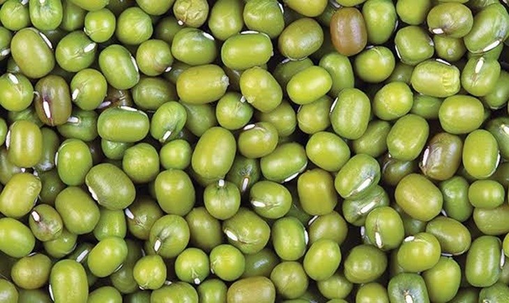 Kementan Dorong Produksi Kacang Hijau Sebagai Sumber Gizi Potensial